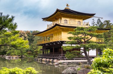 kinkaku-ji Tapınağı