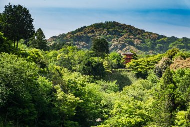 Kyoto, Japonya 'daki kiyomizu-dera tapınağı.