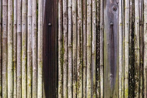 Japansk bambu staket — Stockfoto