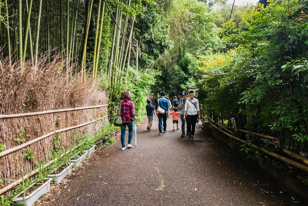 Touristen besuchen Bambuswald von Arashiyama — Stockfoto