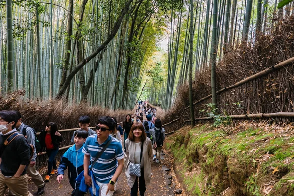 Visita turística à floresta de bambu de Arashiyama — Fotografia de Stock
