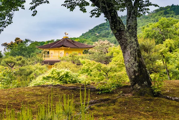 Kinkaku-ji Temple — Stockfoto