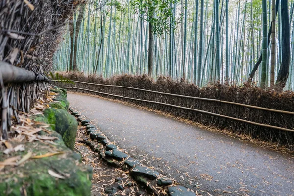 Bambuswald von Araschiyama — Stockfoto