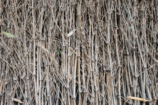 Gesloten droge bamboe — Stockfoto