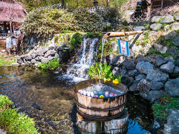 Saiko Iyashino-Sato Nenba forntida japanska byn — Stockfoto