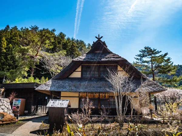Saiko Iyashino-Sato Nenba ősi japán falu — Stock Fotó