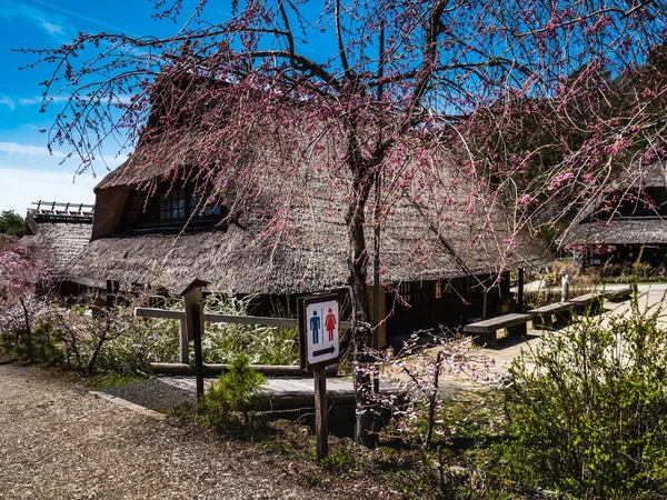 Saiko iyashino-sato nenba altes japanisches Dorf — Stockfoto
