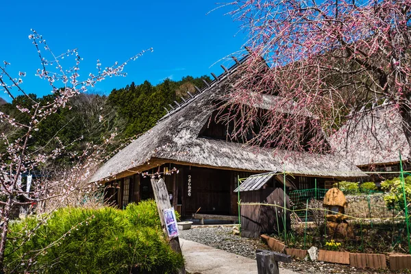 Saiko Iyashino-Sato Nenba forntida japanska byn — Stockfoto