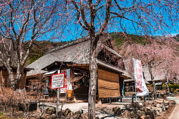 Саїко Іясіно-Сато-Ненба древнє япанське село — стокове фото