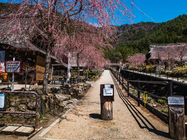 Saiko Iyashino-Sato Nenba antiga aldeia japonesa — Fotografia de Stock