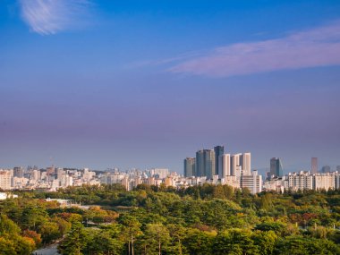 Landscape of Seoul City clipart