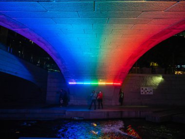 Cheonggyecheon Akıntı Parkı