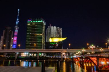 Tokyo Skytree ve geceleri binalarla Asuakusa manzarası