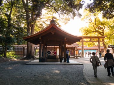 Shibuya 'daki Meiji-jingu türbesini ziyaret eden turistler, T