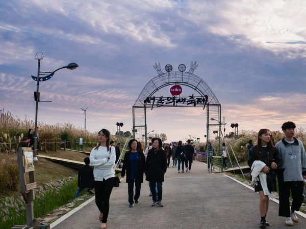 Туристы посещают парк Ханеуль в Сеуле — стоковое фото