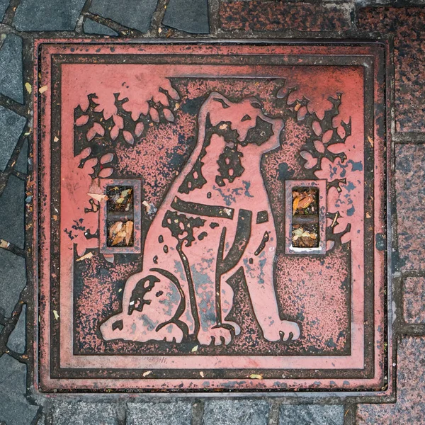 Hachiko köpeğinin rögar deliği..