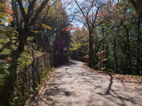Spazierweg in der Nähe des arakura sengen-Schreins — Stockfoto