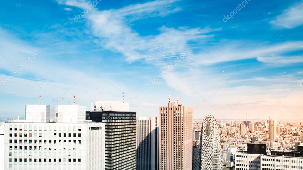 Tokyo cityscape as seen from the Tokyo Metropolitan Government B