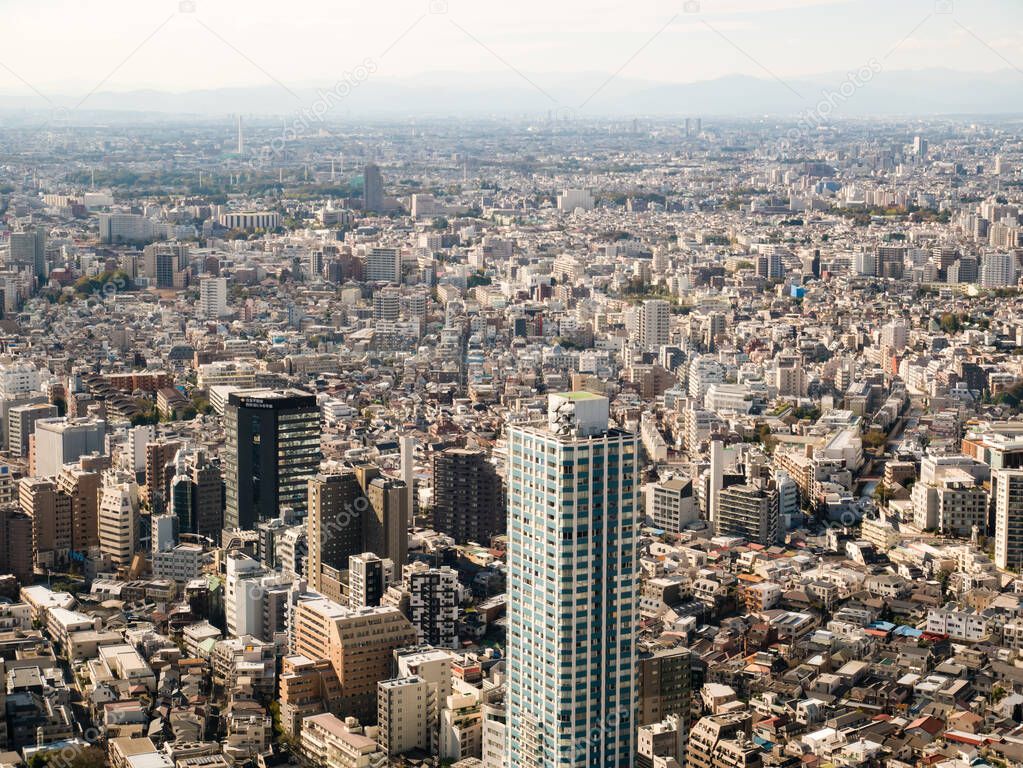Tokyo cityscape as seen from the Tokyo Metropolitan Government B