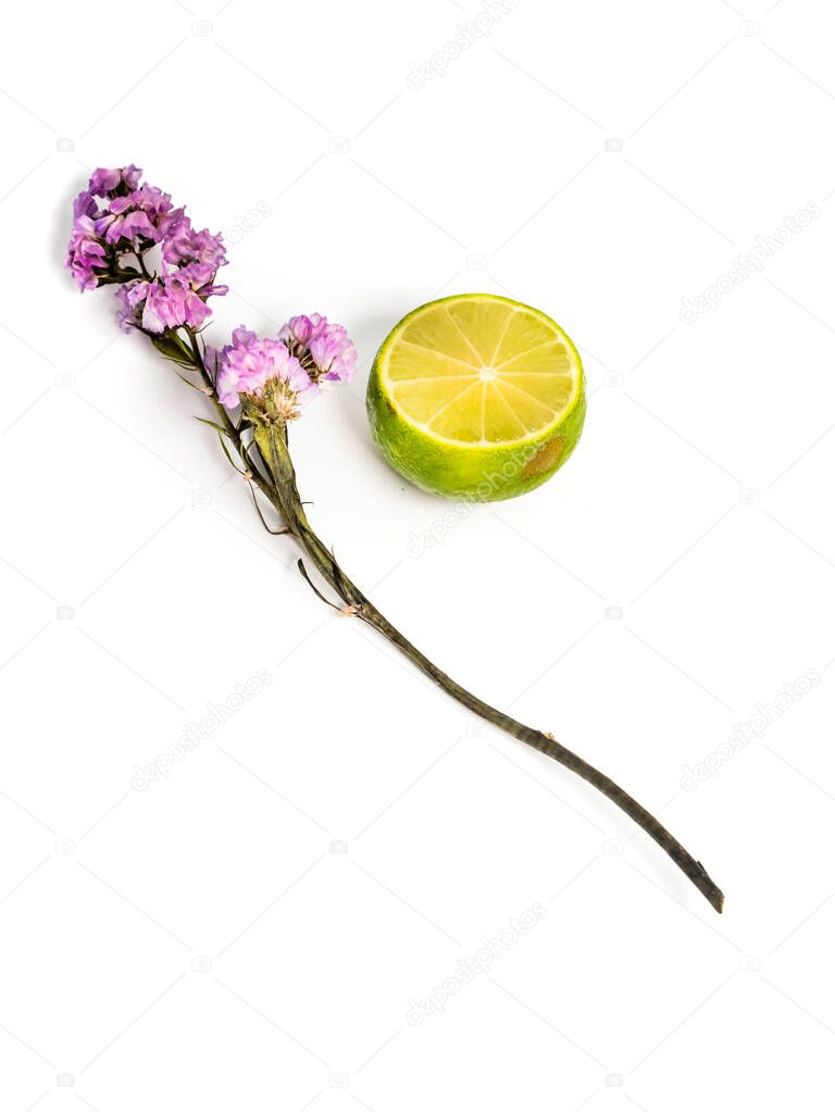Piece of lime with beautiful pink flower