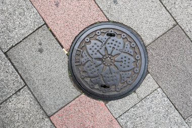 Kanalizasyon kapağı: Tokyo, Japan.