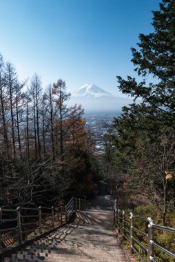 Chureito Pagoda 'dan Fuji dağı manzarası 