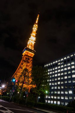 Tokyo Kulesi