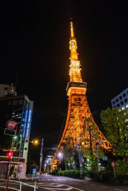 Tokyo Kulesi