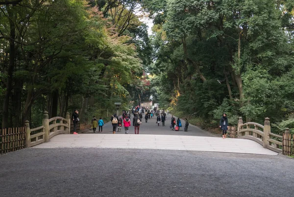 Tourist in meiji jingu — Stockfoto