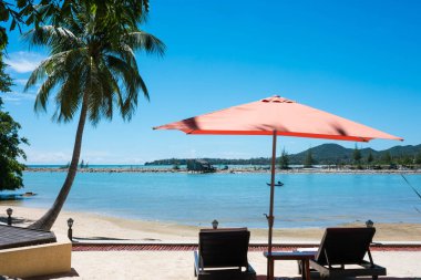 plaj sandalyeleri plaj