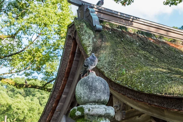 Dazaifu shrine in Fukuoka, Japan.