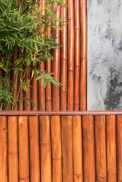 Alte Betonwandrisse und Bambusblatt — Stockfoto