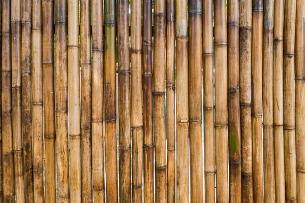 Fondo de valla de bambú —  Fotos de Stock