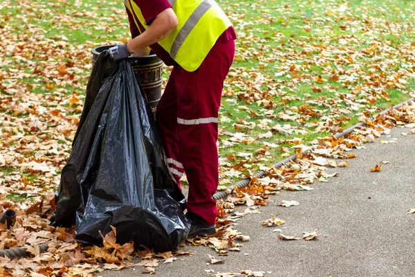 Çöp tenekecisi, Londra, Camden 'daki bir parkta büyük siyah bir çöp torbasında çöp topluyor.