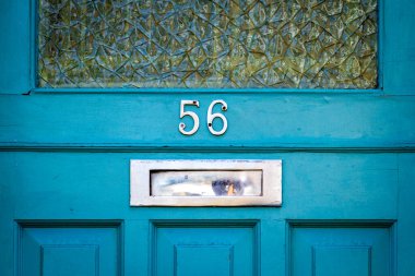56 numaralı ev büyük cam pencereli mavi ahşap bir ön kapıda.