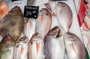 Taze balık çeşitli deniz ürünleri pazarı, Palma, Mallorca, Satılık