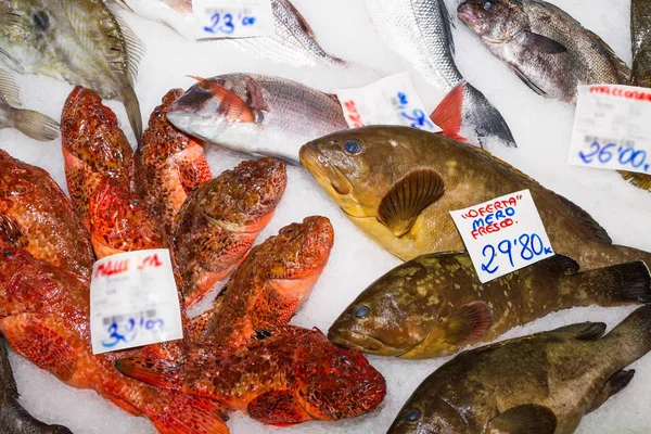 Verse vis verscheidenheid te koop bij zeevruchten markt, Palma, Mallorca — Stockfoto