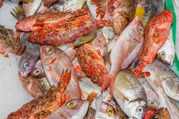 Variedad de pescado fresco para la venta en el mercado de mariscos, Palma, Mallorca — Foto de Stock