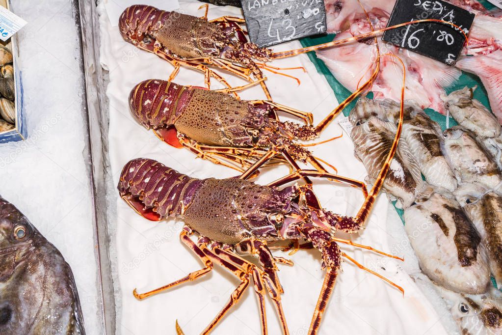 Fresh lobster on ice for sale at fishmarket Palma Mallorca.
