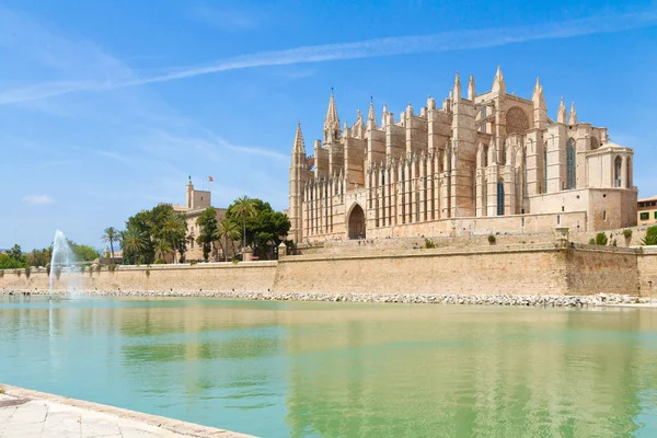 Palma de Mallorca Katedrali ve Almudaina Kraliyet Sarayı panoramik