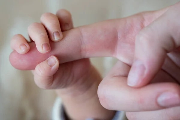Baby Hand Wrapped Dad Finger — Stock Photo, Image