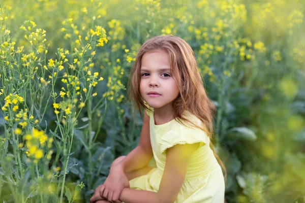 Una Bambina Dai Capelli Lunghi Siede Campo Fiori Gialli — Foto Stock