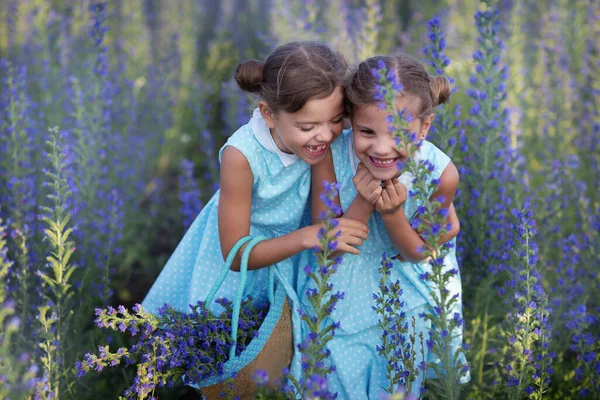 Дві Маленькі Дівчата Сміються Полі Блакитними Квітами — стокове фото