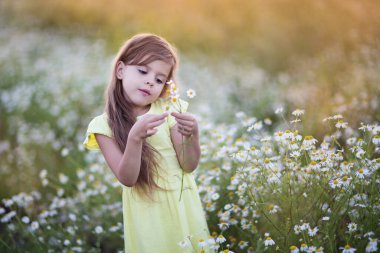Elinde Daisy olan küçük bir kız.