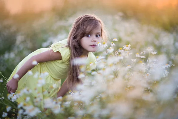 小女孩在一片鲜花地里 — 图库照片