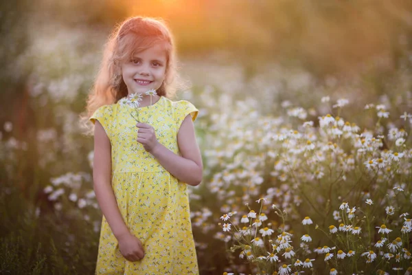 Молода Дівчина Полі Заході Сонця — стокове фото