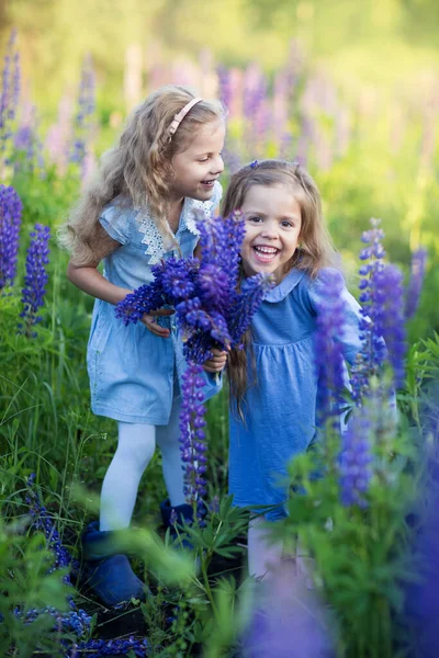 Két Lány Lila Virágban Nevet — Stock Fotó