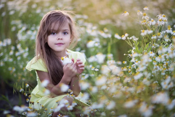 Little Girl Flowers Stock Photo