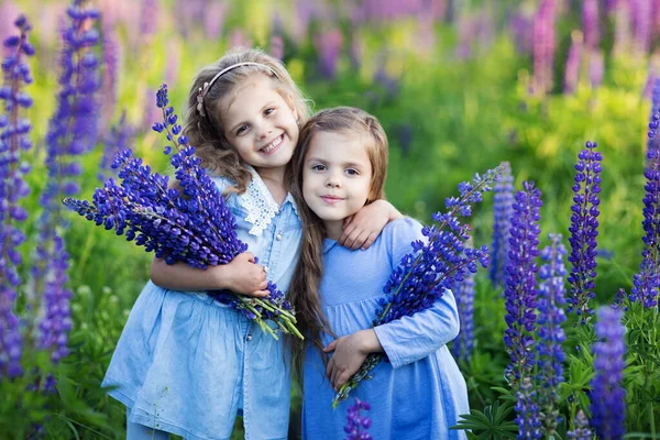 Дві Маленькі Дівчата Полі Виглядають Фіолетовими Квітами Ліцензійні Стокові Фото