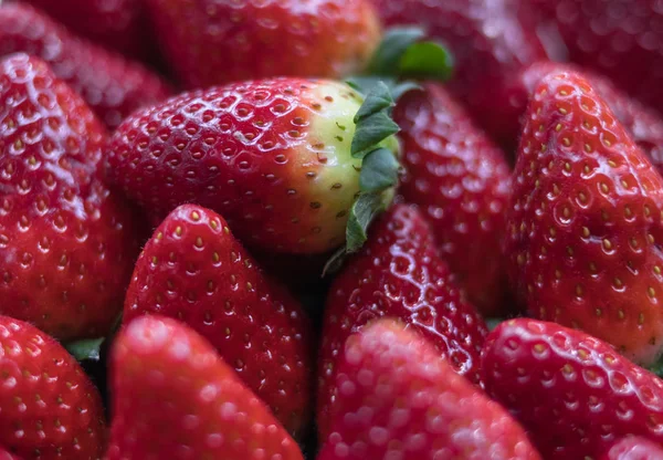 red fresh strawberry in a close up at the market